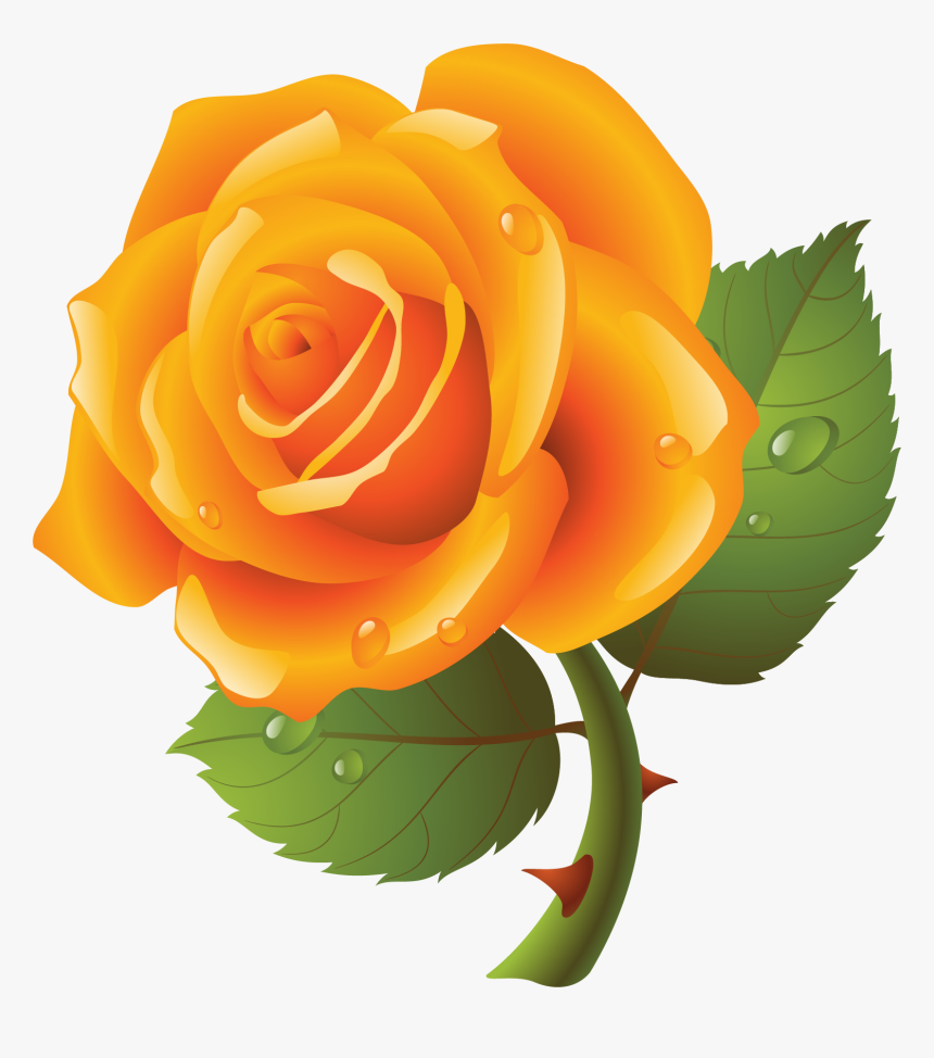 Garden Roses, HD Png Download