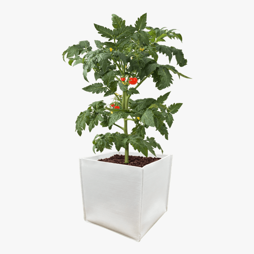 Metal Raised Garden Beds, HD Png Download