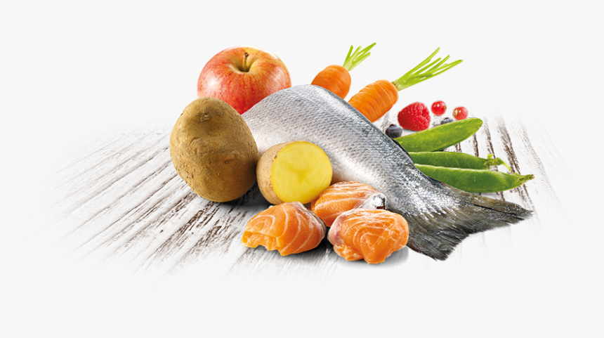Pienso Natural Para Perros Con Salmón Fresco Trueinstinct - Apple, HD Png Download