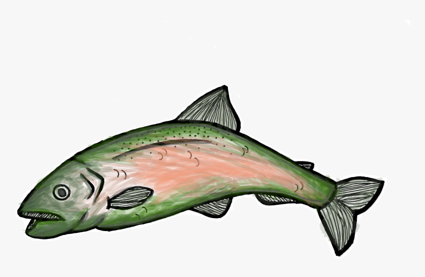 Bellingham Port Commissioner Michael Shepard Wrote - Salmon, HD Png Download