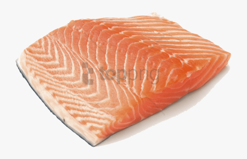 Transparent Salmon Clipart Black And White - Salmon With No Background, HD Png Download