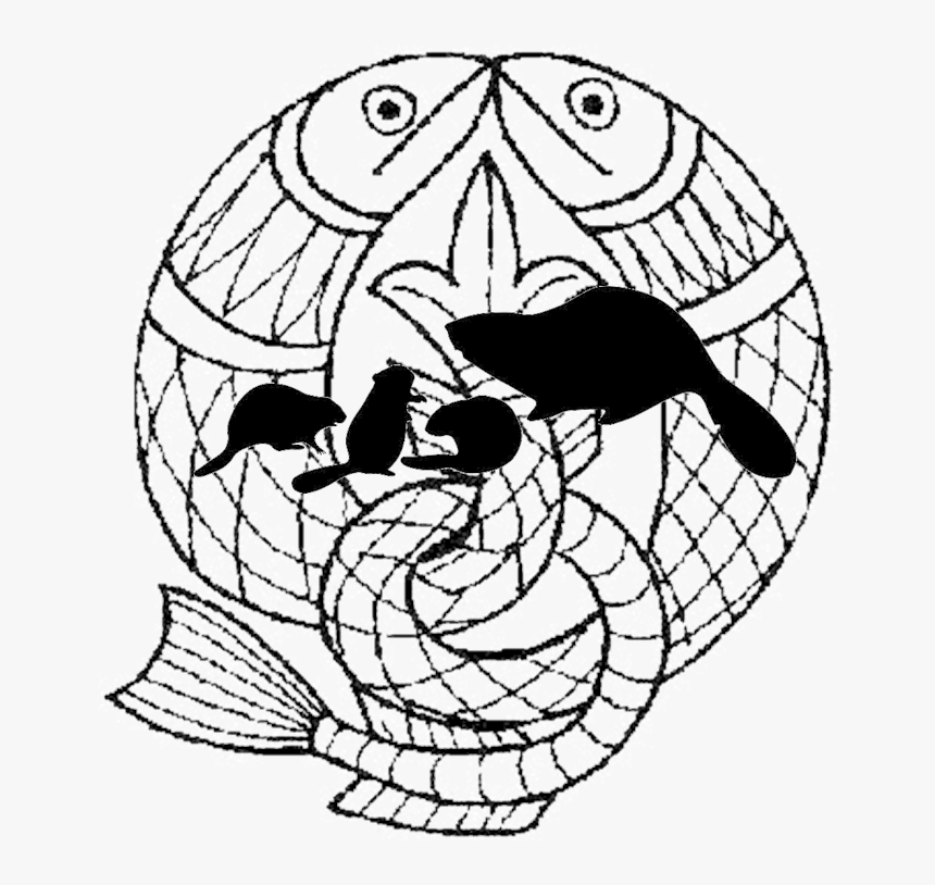 Beavers & Salmon « - Salmon Of Knowledge Art, HD Png Download