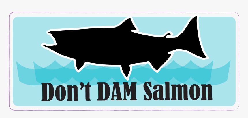 Shark, HD Png Download