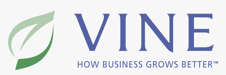 Vine Logo Png Transparent - Guitar String, Png Download