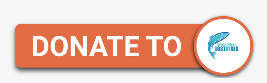 Portable Network Graphics, HD Png Download