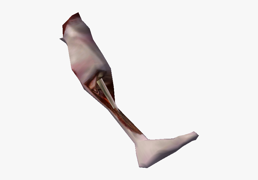 Severed Nord Leg - Оторванная Нога Пнг, HD Png Download