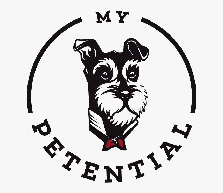 Miniature Schnauzer, HD Png Download