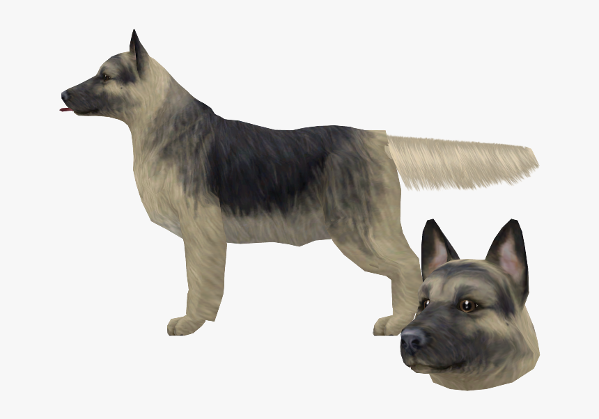 Download Zip Archive - Old German Shepherd Dog, HD Png Download