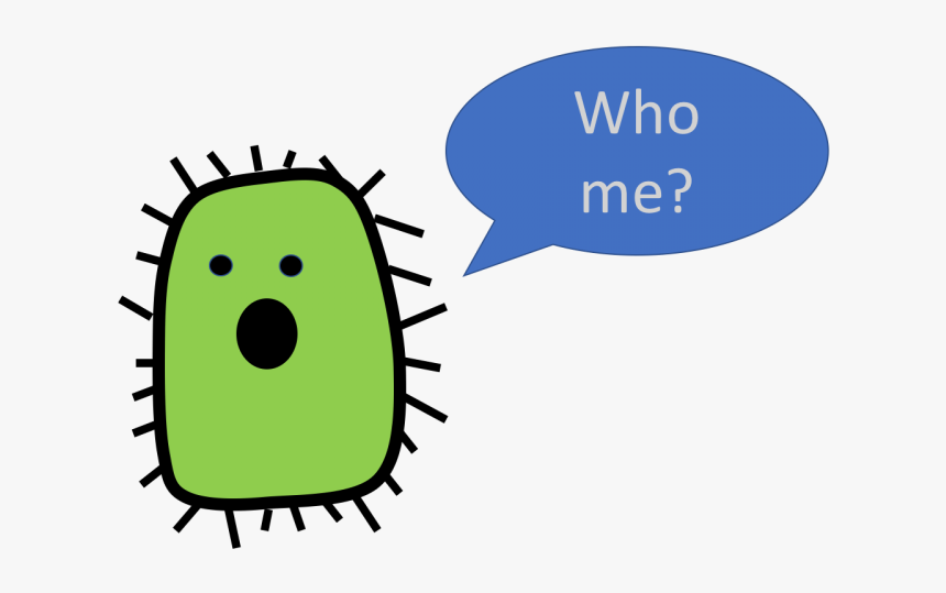 Gut Bacteria And Type Ii Diabetes - Bacteria Clipart, HD Png Download