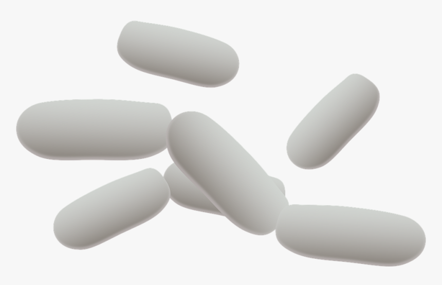 Bacteria Png Picture - Bacteria Rod Clipart, Transparent Png