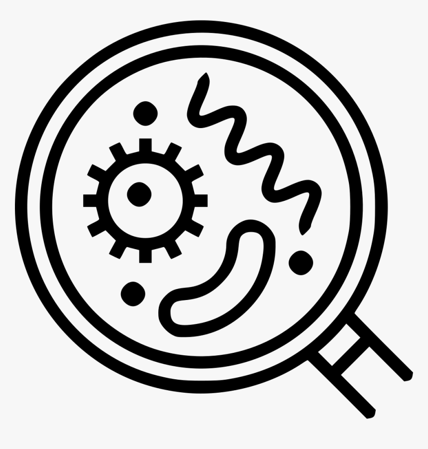 Bacteria And Viruses - Og Words 3 Letters, HD Png Download