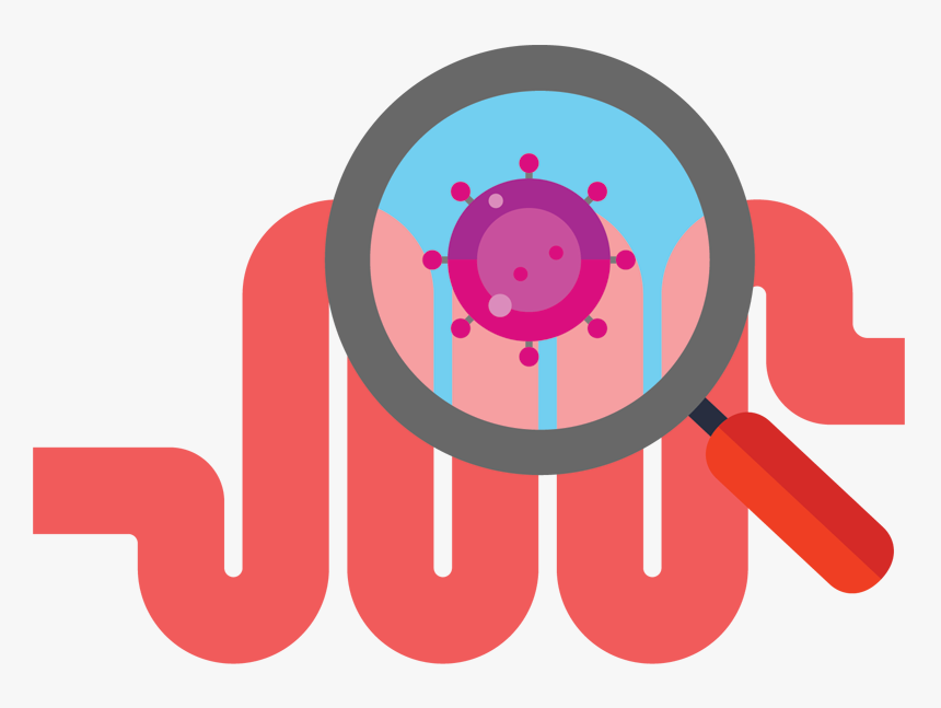 Magnifying Glass Looking At Gut - Gut Microbiome Png, Transparent Png