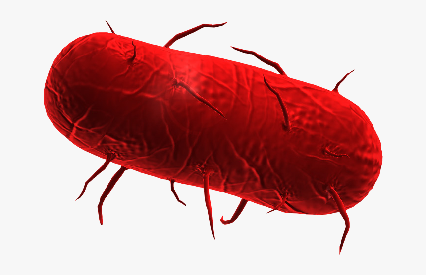 Plague Inc Bacteria - Bakteria Plague Inc Evolved, HD Png Download