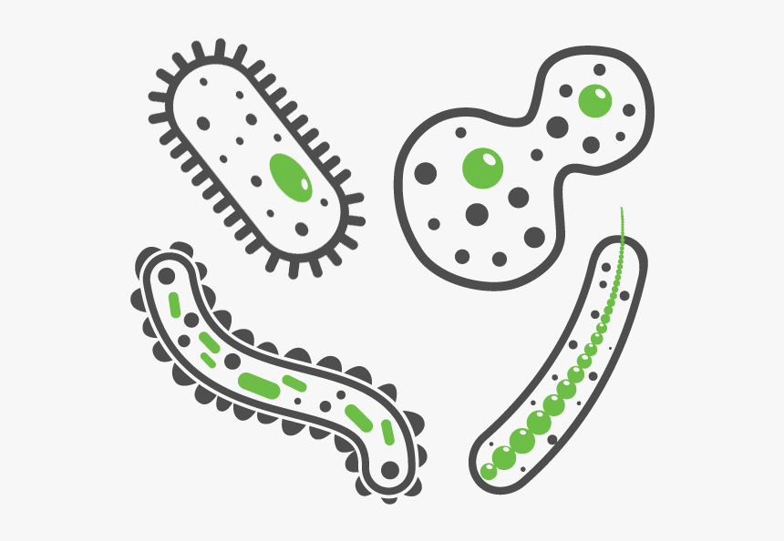 9 Gear Fidget Spinner, HD Png Download