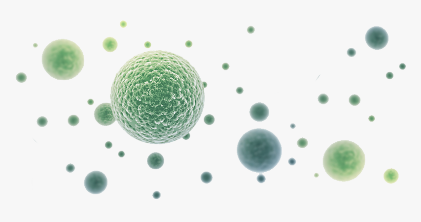 Home Bacrotec Bacteria - Eco Worx, HD Png Download