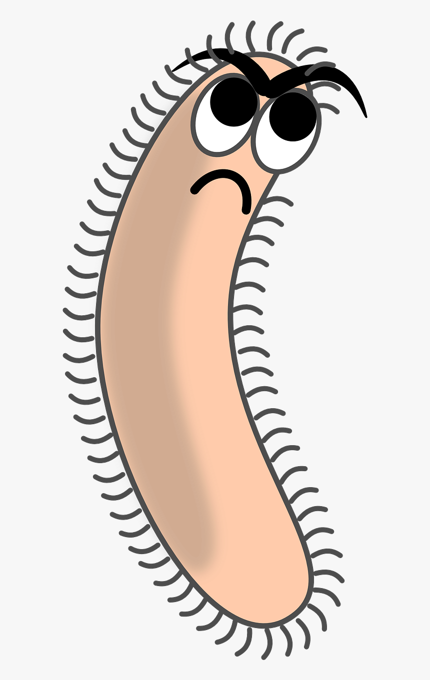 Bacteria Germ Pathogene Cell Png Image - Bacteria Clipart, Transparent Png
