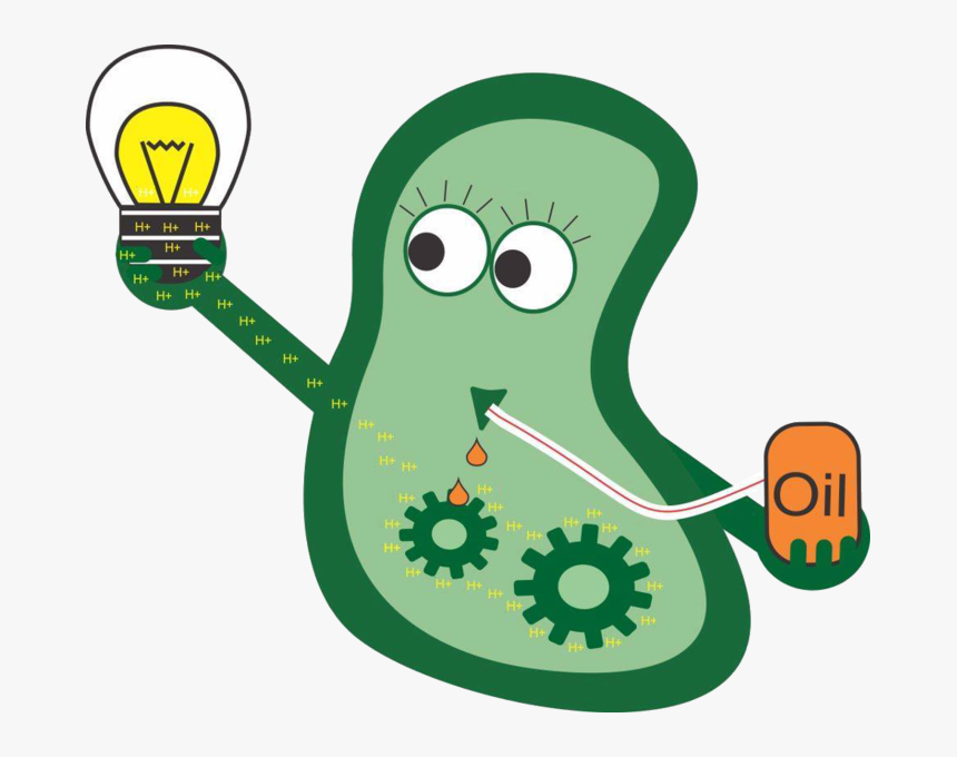 Bacteria Cliparts Png - Bacteria Cartoon Transparent Background, Png Download