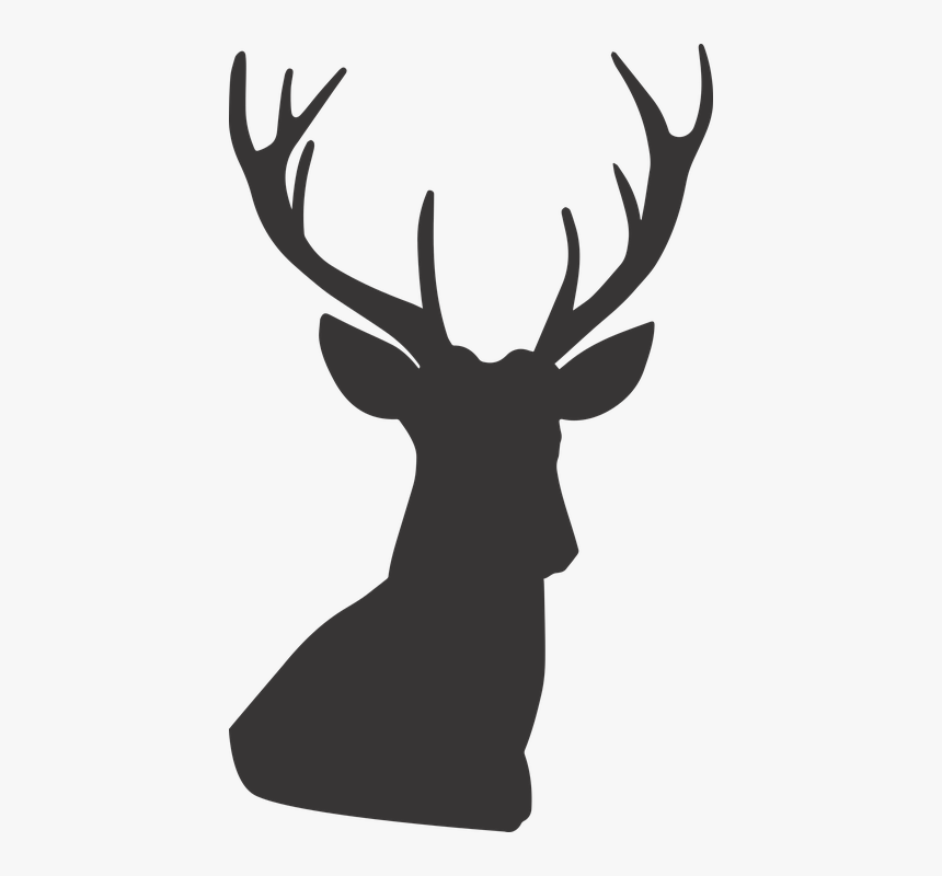 Deer, Deer Silhouette, Silhouette, Animal, Wild - Deer Head Silhouette Png, Transparent Png