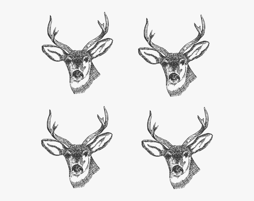 Clip Art Deer Head Drawing - Drawing Black And White Deer, HD Png Download
