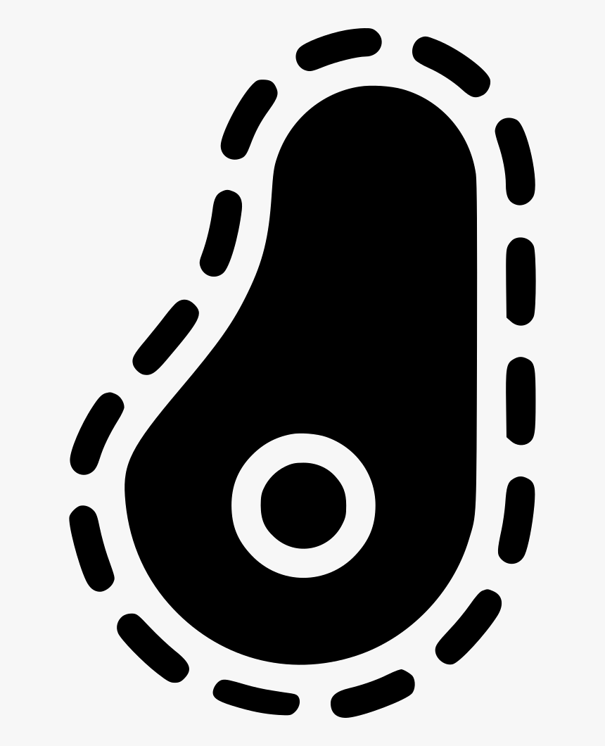 Bacteria, HD Png Download