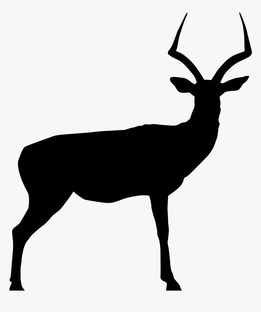 50s Clipart Impala 3 Deer Skull Drawing Deer Rack Silhouette - Impala Silhouette Clipart, HD Png Download