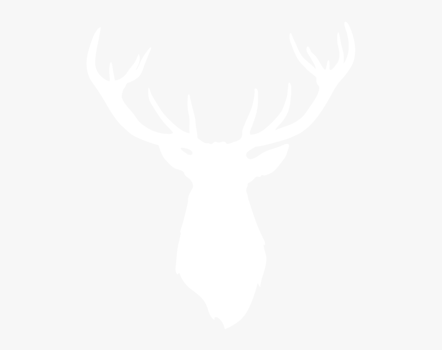 Johns Hopkins White Logo, HD Png Download