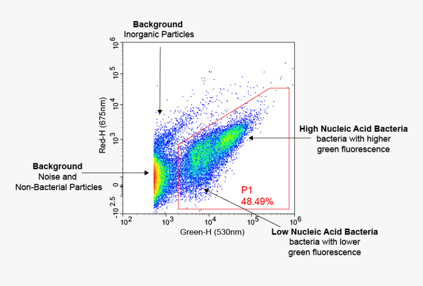 Diagram, HD Png Download