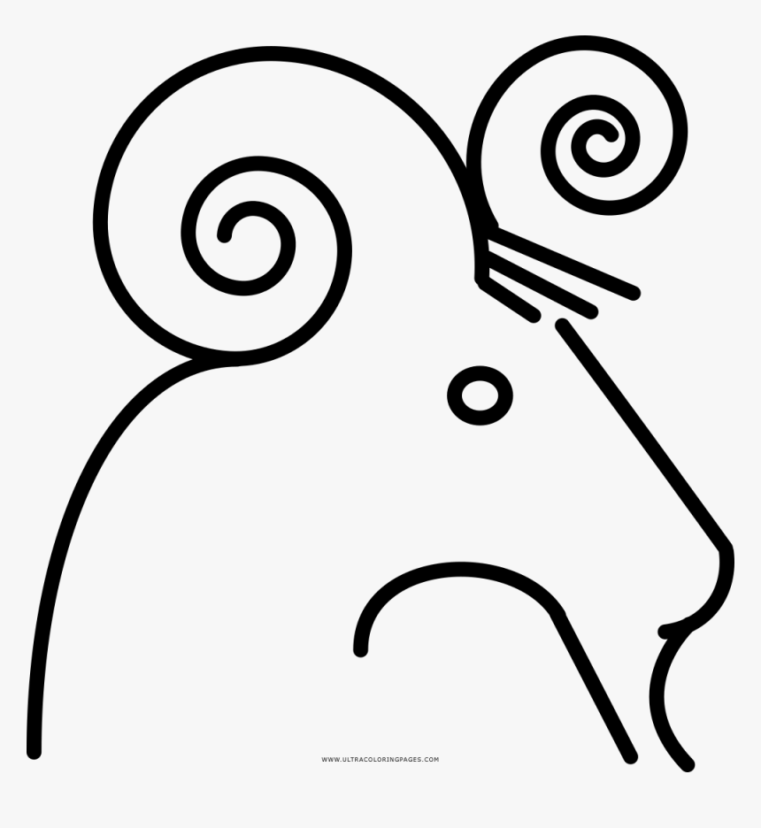 Clip Art Beaker Coloring Page - Line Art, HD Png Download