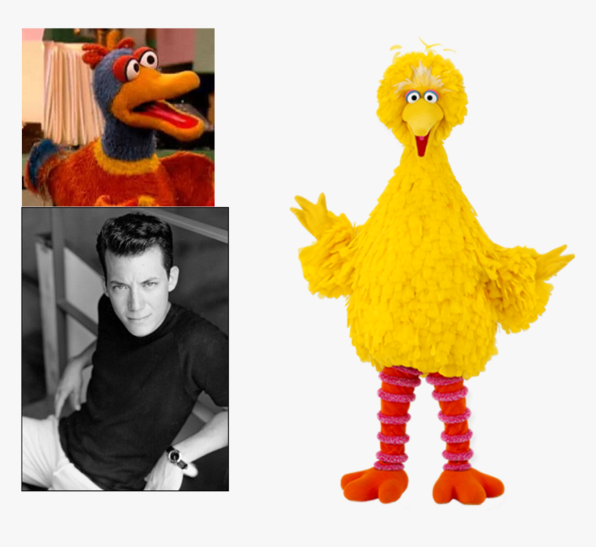 Muppet Wiki Behind The Scenes Sesame Street Episode Big Bird Small Bird Hd Png Download Transparent Png Image Pngitem