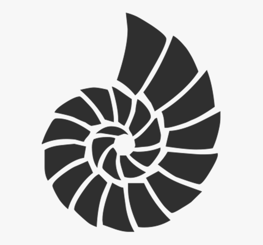 Photography Clipart Vector - Seashell Stencil, HD Png Download