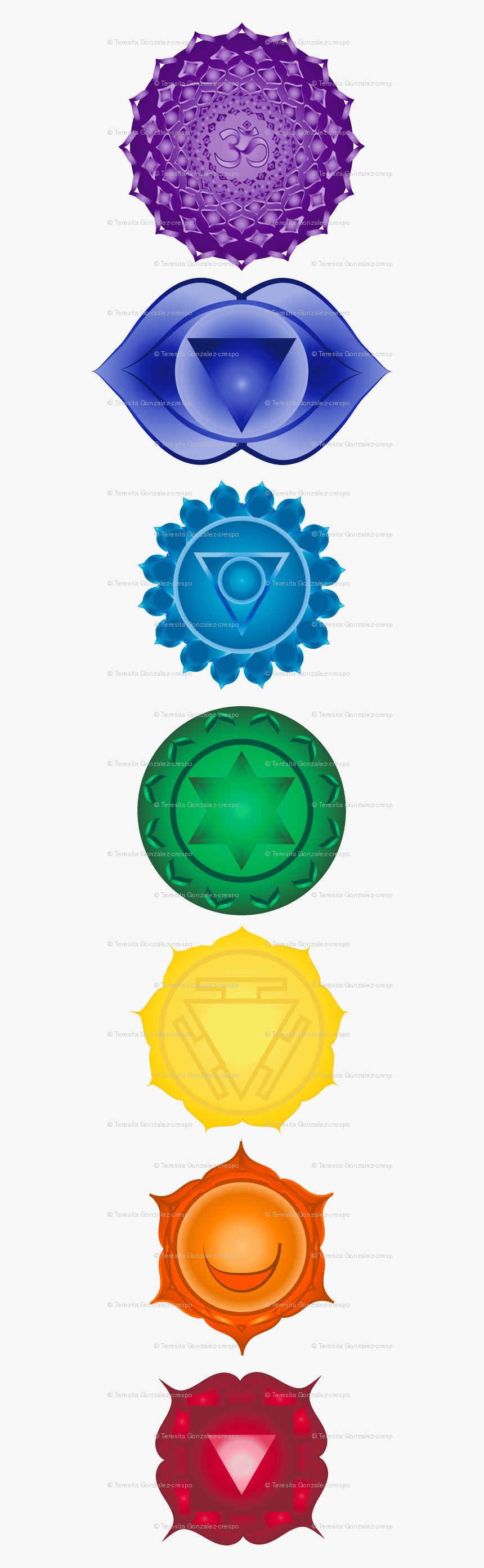 Circle, HD Png Download