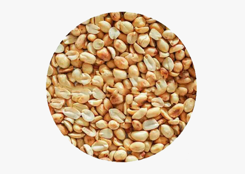 Peanut, HD Png Download