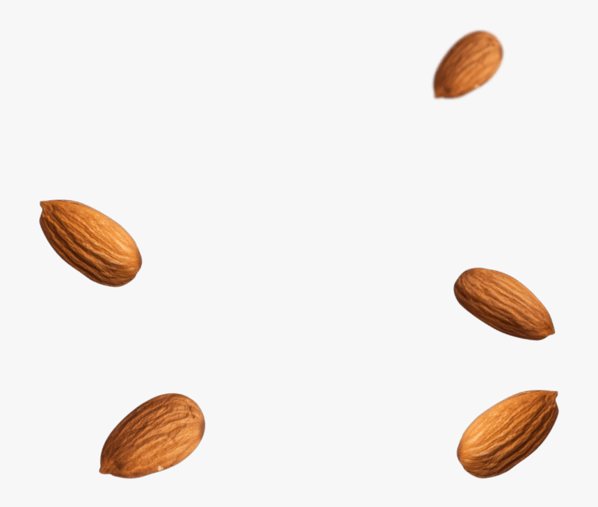 Almond Png - Almond, Transparent Png