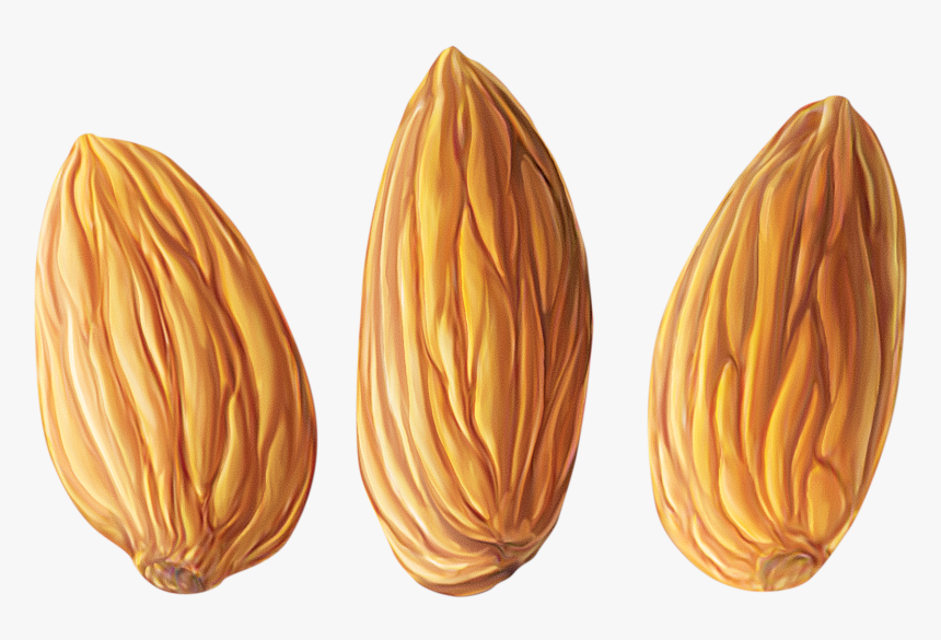 Миндаль Пнг, HD Png Download