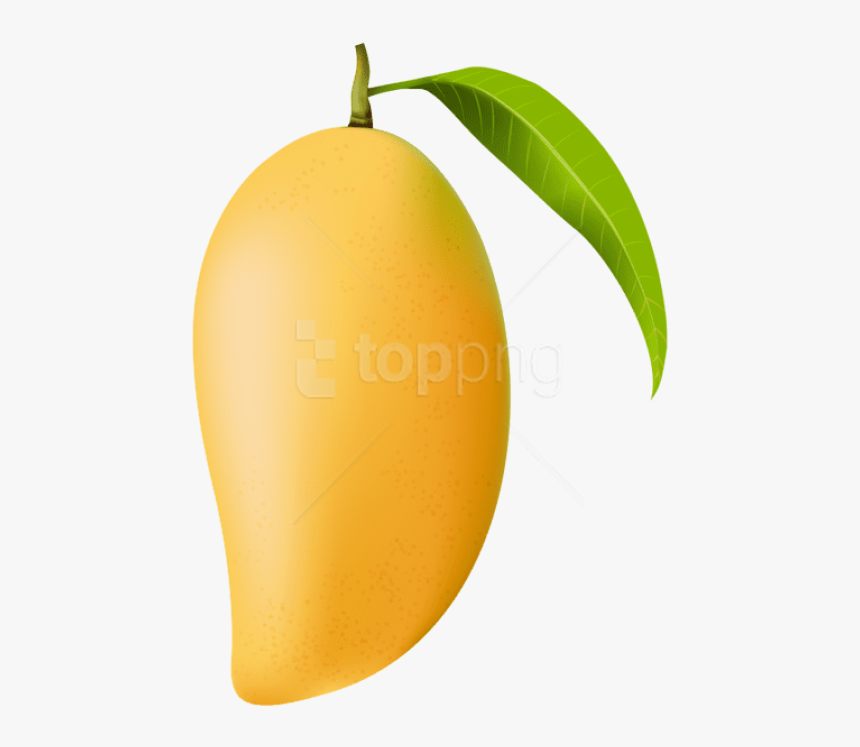 Free Png Mango Png - Mango Clipart Png, Transparent Png