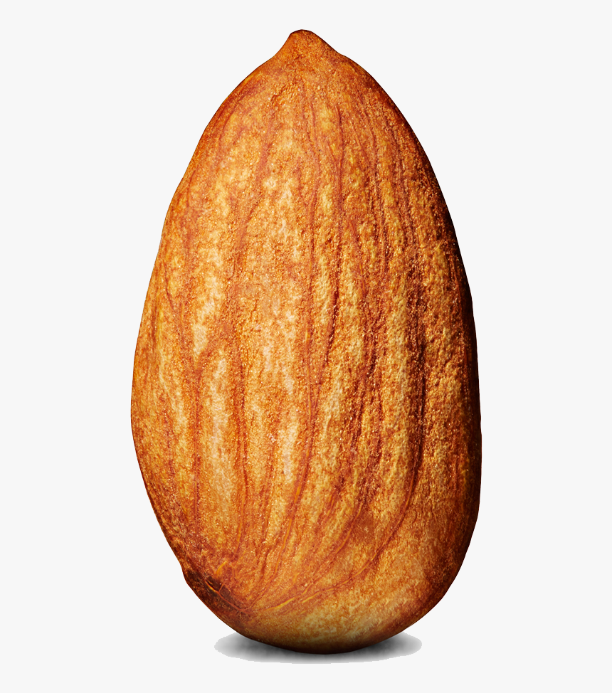 Almond Png - Almond Transparent Background, Png Download