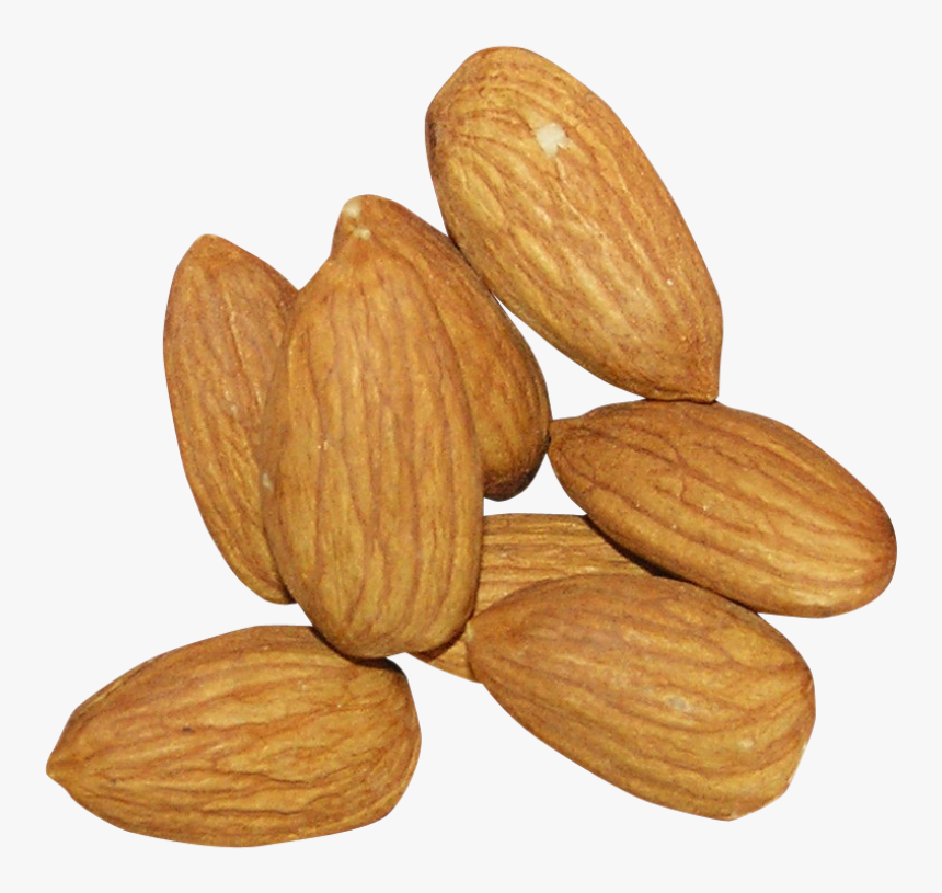 Almond Png Free Download - Almond Transparent Background, Png Download