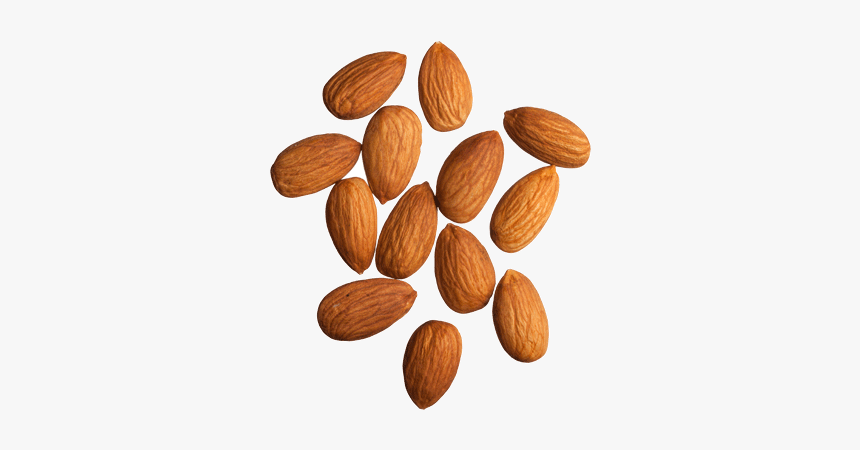 Apricot-kernel - Almonds Png, Transparent Png