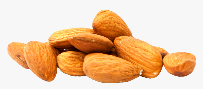Almond Milk Nut Clip Art - Almonds Png Transparent, Png Download