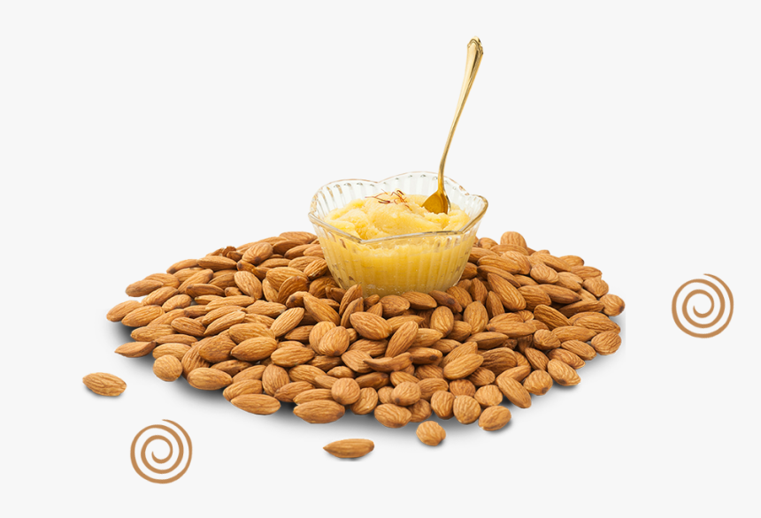 Seed, HD Png Download