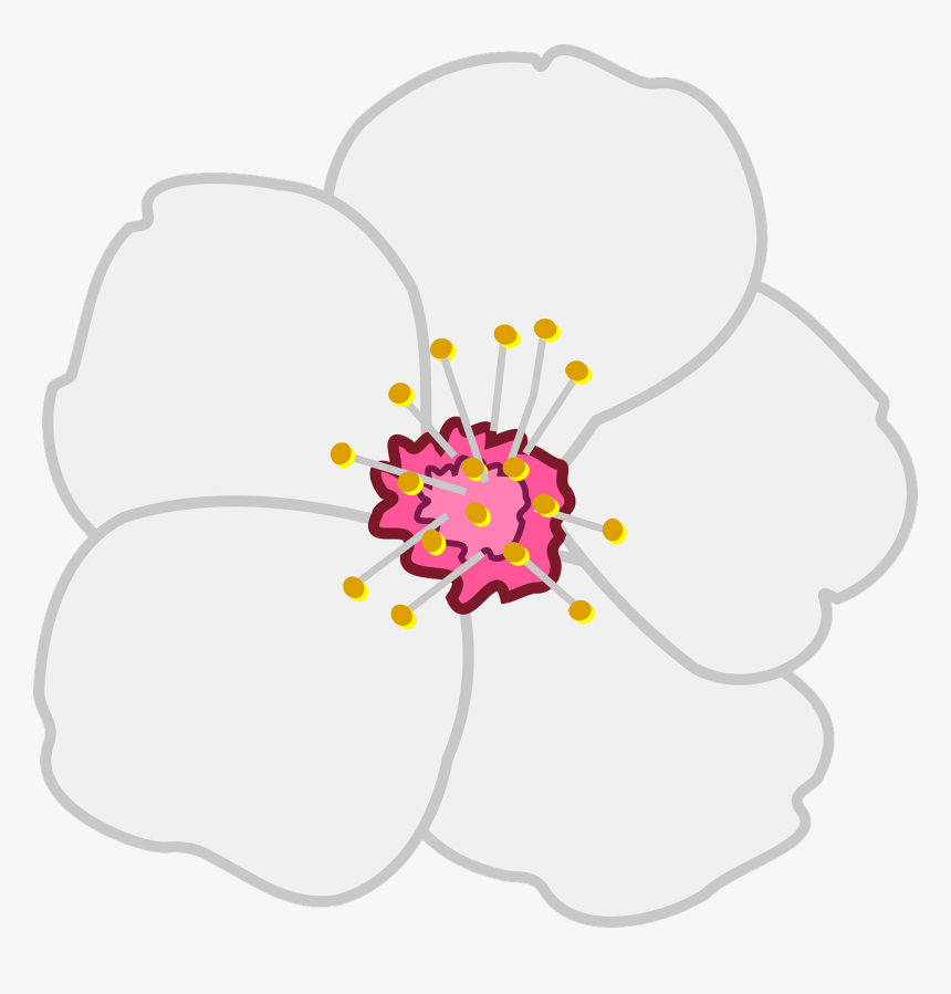 Strawberry Flowers Png Png, Transparent Png