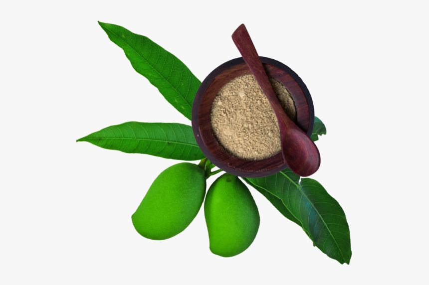 Bay Laurel, HD Png Download