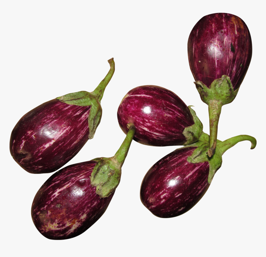 Brinjal Part Png, Transparent Png