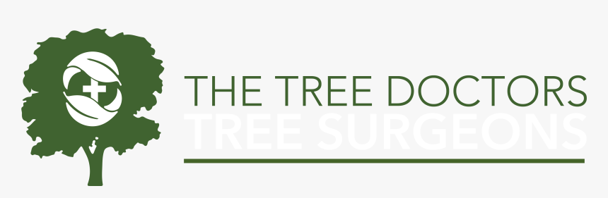 Tree Doctors Logo - Parallel, HD Png Download