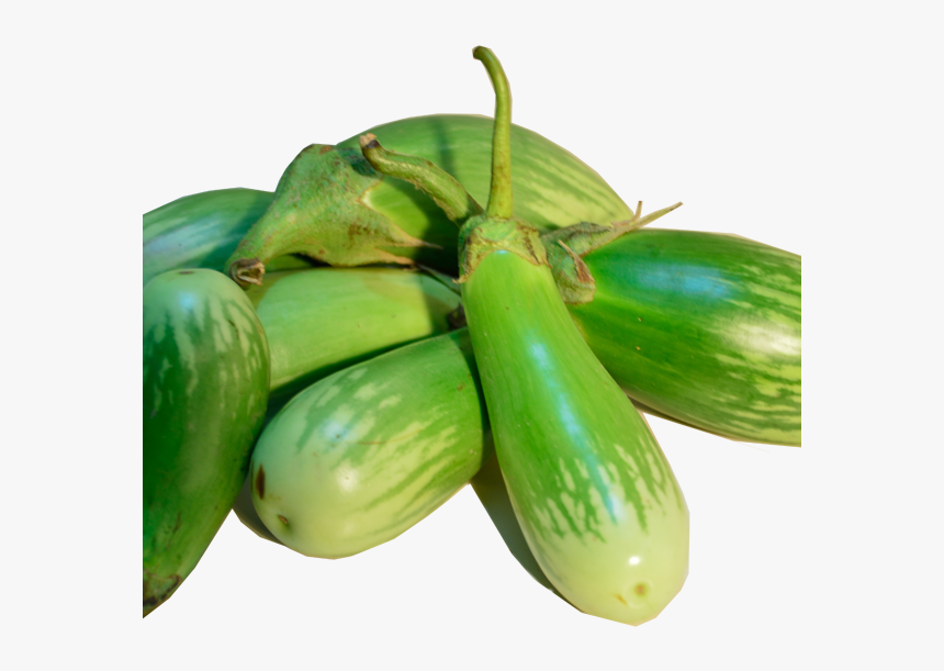 White Brinjal , Png Download - Baingan Green Long, Transparent Png