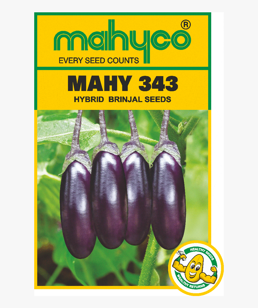 Brinjal Seeds In Bengal, HD Png Download