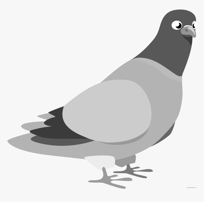 Transparent Dove Bird Clipart - Pigeon Clip Art, HD Png Download