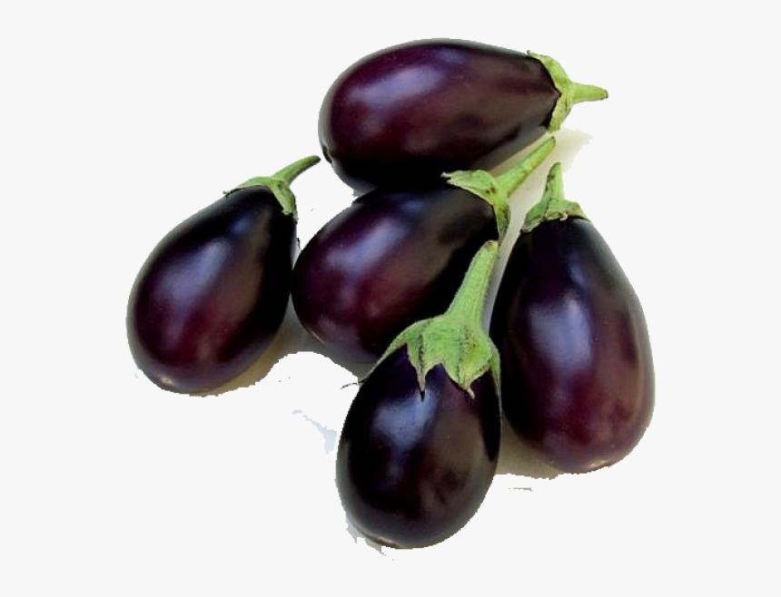 Indian Brinjal, HD Png Download