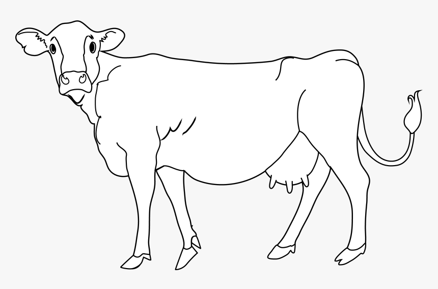 Clipart Cow Cow Indian - Dairy Cow, HD Png Download