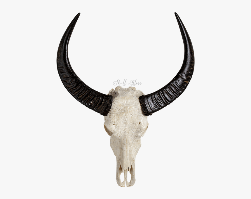 Horn,antelope,animal Figure,cow-goat - Animal Skull Png, Transparent Png